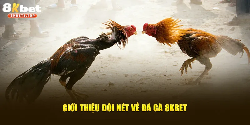 Đá gà online - Tuyệt phẩm giải trí của năm 2025